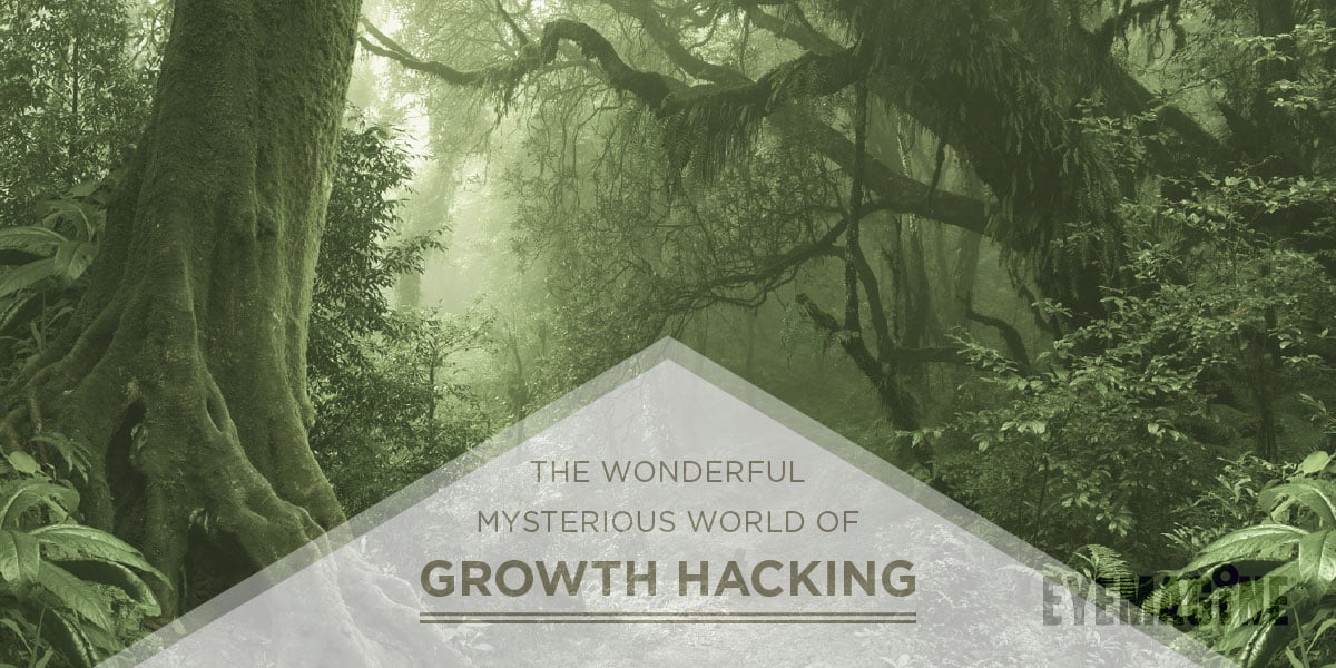 The Wonderful Mysterious World of Growth Hacking